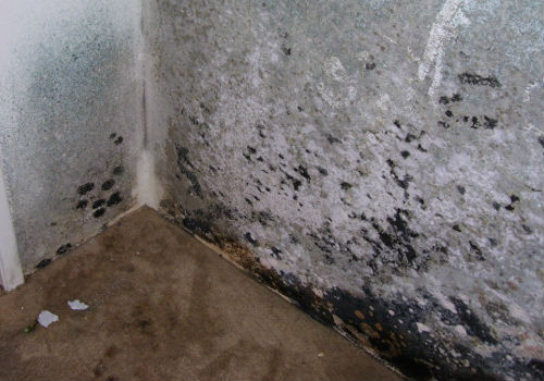 Mold Wall-adj